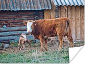 Bruine koe met kalf poster papier 160x120 cm - Foto print op Poster (wanddecoratie woonkamer / slaapkamer) / Wilde dieren Poster XXL / Groot formaat!