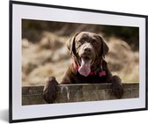 Fotolijst incl. Poster - Labrador Retriever die over een omheining kijkt - 60x40 cm - Posterlijst