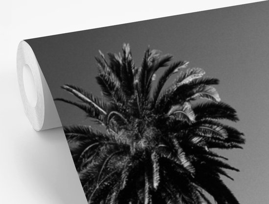 Papier peint photo vinyle - Orotava avec vue sur El Teide Tenerife - Zwart- Wit largeur 240 cm x hauteur 240 cm - Tirage photo sur papier peint (disponible en 7 tailles)