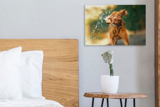 Canvas Schilderij Nat - Hond - Water - 30x20 cm - Wanddecoratie