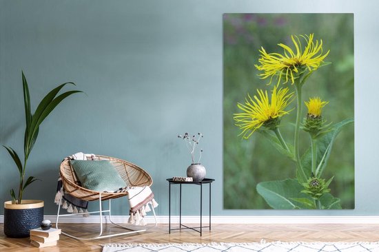 Fleur d'Alant jaune entre la haute herbe verte Toile 120x180 cm - Tirage photo sur toile (Décoration murale salon / chambre) XXL / Groot format!
