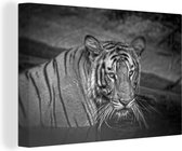 Tigre dans l'eau toile 2cm 60x40 cm - impression photo sur toile peinture Décoration murale salon / chambre à coucher) / Animaux sauvages Peintures Toile