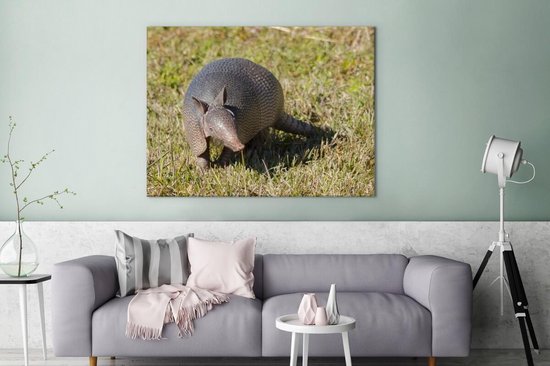 Toile de tatou dans l'herbe 2cm 160x120 cm - Tirage photo sur toile (Décoration murale salon / chambre) / Animaux sauvages Peintures sur toile XXL / Groot format!