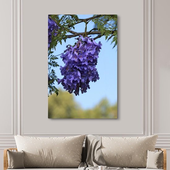 Gros plan d'une toile Jacaranda 2cm 120x180 cm - Tirage photo sur Toile (Décoration murale salon / chambre) / Arbres Peintures sur toile XXL / Groot format!