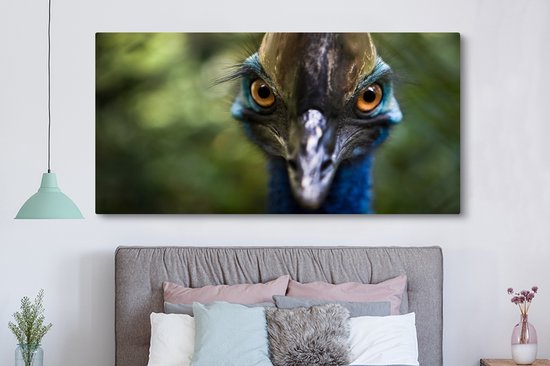 Gros plan sur toile casoar 2cm 160x80 cm - Tirage photo sur toile (Décoration murale salon / chambre) / Animaux sauvages Peintures sur toile