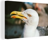 Angry Seagull 120x80 cm - Tirage photo sur toile (Décoration murale salon / chambre)
