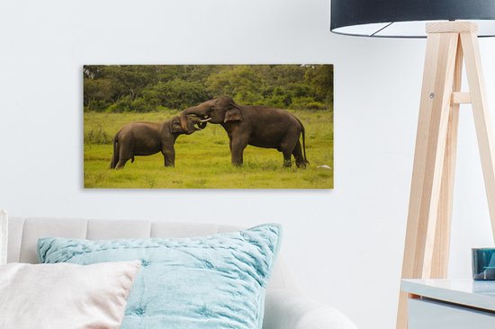 Deux éléphants de combat sur toile 2cm 30x20 cm - petit - Tirage photo sur toile (Décoration murale salon / chambre) / Animaux sauvages Peintures sur toile