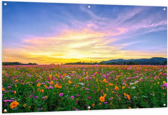 Tuinposter – Gekleurde Bloemetjes in het Veld met Oranje Horizon - 150x100cm Foto op Tuinposter  (wanddecoratie voor buiten en binnen)