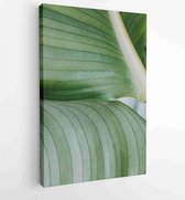 Moderne schilderijen - Vertical - 4622253 - 50*40 Vertical