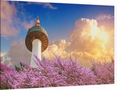 De Namsan Seoul Tower achter kersenbloesem in Zuid Korea - Foto op Canvas - 45 x 30 cm