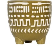Olijf kleur planten potje Ø9,5cm