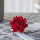 Gedroogde Lotus Knoppen Decoratie voor binnenhuis - M - red