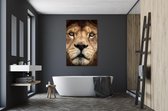 Roarr 120 x 80  - Plexiglas