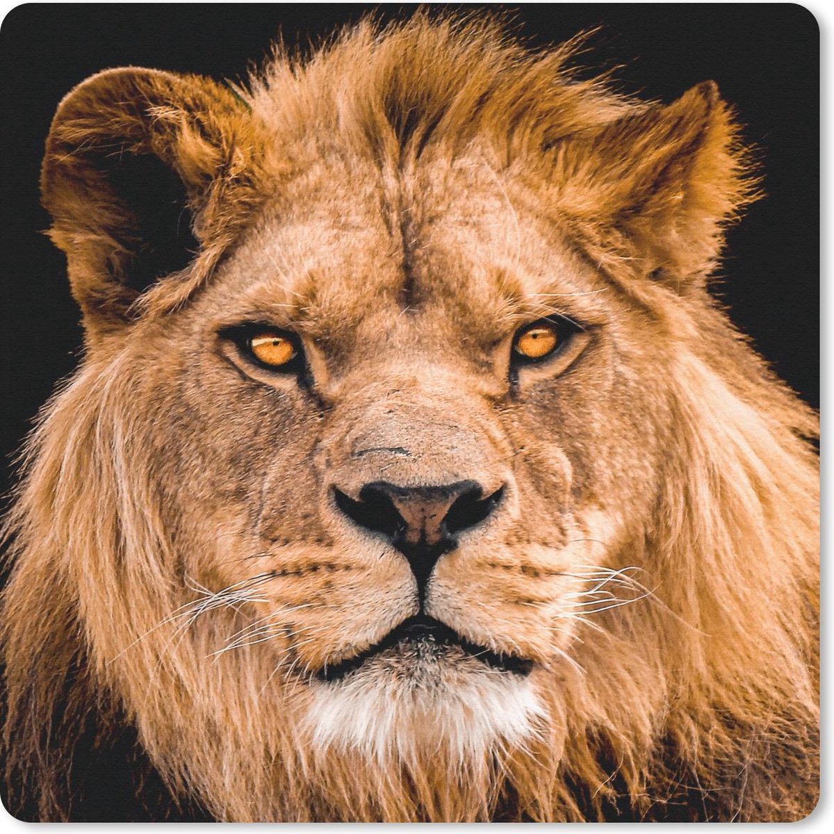 Muismat 20x20 cm - Mousepad Leeuw - Portret - Zwart - Muismatten