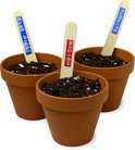 Drie kleine terracotta potjes met aarde, elk met een houten stokje met plantennaam: "RADISH", "BLUE RIDGE", "TURNIPS".