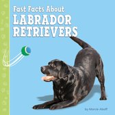 Fast Facts About Dogs - Fast Facts About Labrador Retrievers