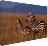Canvas schilderij Moeder en baby zebra