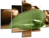 Feuille de peinture sur verre | Vert, marron | 100x70cm 5Liège | Tirage photo sur verre |  F004559