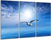 GroepArt - Schilderij -  Vogel - Wit, Blauw - 120x80cm 3Luik - 6000+ Schilderijen 0p Canvas Art Collectie