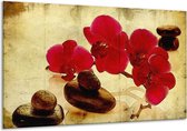 Schilderij Op Canvas Orchidee - Rood, Bruin, Geel - 120x70cm 1Luik - Foto Op Canvas - GroepArt 6000+ Schilderijen 0p Canvas Art Collectie - Wanddecoratie - Woonkamer - Slaapkamer - Canvas Print
