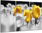 GroepArt - Schilderij -  Tulpen - Geel, Grijs, Wit - 120x80cm 3Luik - 6000+ Schilderijen 0p Canvas Art Collectie