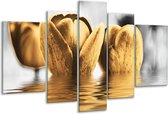 Glasschilderij Tulpen - Zwart, Goud, Grijs - 170x100cm 5Luik - Foto Op Glas - Geen Acrylglas Schilderij - 6000+ Glasschilderijen Collectie - Wanddecoratie