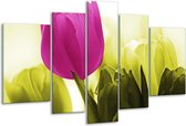 Glasschilderij Tulp - Roze, Groen, Wit - 170x100cm 5Luik - Foto Op Glas - Geen Acrylglas Schilderij - 6000+ Glasschilderijen Collectie - Wanddecoratie
