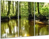 Peinture sur verre Nature | Vert, marron | 120x80cm 3 Liège | Tirage photo sur verre |  F001340