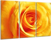 Glasschilderij Roos - Geel, Oranje - 120x80cm 3Luik - Foto Op Glas - Geen Acrylglas Schilderij - GroepArt 6000+ Glas Art Collectie - Maatwerk Mogelijk