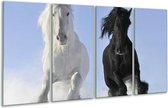 GroepArt - Glasschilderij - Paarden - Wit, Zwart, Blauw - 160x80cm 4Luik - Foto Op Glas - Geen Acrylglas Schilderij - 6000+ Glasschilderijen Collectie - Wanddecoratie