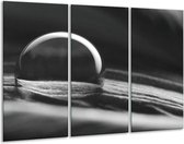 Glasschilderij Macro - Grijs, Zwart, Wit - 120x80cm 3Luik - Foto Op Glas - Geen Acrylglas Schilderij - GroepArt 6000+ Glas Art Collectie - Maatwerk Mogelijk