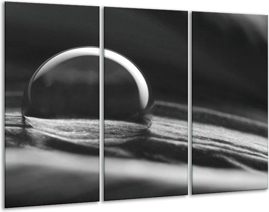 Glas schilderij Macro | Grijs, Zwart, Wit | | Foto print op Glas |  F006345