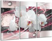 GroepArt - Schilderij -  Orchidee, Bloemen - Roze, Grijs, Wit - 120x80cm 3Luik - 6000+ Schilderijen 0p Canvas Art Collectie