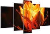 Glasschilderij Tulp - Oranje, Zwart, Geel - 170x100cm 5Luik - Foto Op Glas - Geen Acrylglas Schilderij - 6000+ Glasschilderijen Collectie - Wanddecoratie
