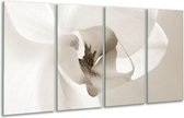 GroepArt - Glasschilderij - Bloem - Sepia - 160x80cm 4Luik - Foto Op Glas - Geen Acrylglas Schilderij - 6000+ Glasschilderijen Collectie - Wanddecoratie