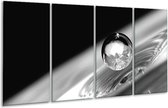 GroepArt - Glasschilderij - Macro - Zwart, Grijs, Zilever - 160x80cm 4Luik - Foto Op Glas - Geen Acrylglas Schilderij - 6000+ Glasschilderijen Collectie - Wanddecoratie