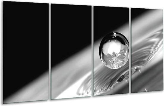 Glas schilderij Macro | Zwart, Grijs, Zilever | | Foto print op Glas |  F006538