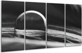 GroepArt - Glasschilderij - Macro - Grijs, Zwart, Wit - 160x80cm 4Luik - Foto Op Glas - Geen Acrylglas Schilderij - 6000+ Glasschilderijen Collectie - Wanddecoratie