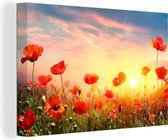 Peintures sur toile Coquelicots - Printemps - Couleurs - 120x80 cm - Décoration murale
