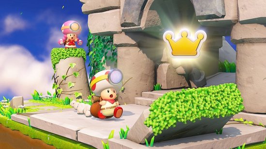 Toad en een roze Toad op stenen platforms met gras. Gouden kroon zweeft.