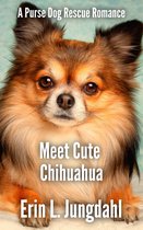 Purse Dog Rescue - Meet Cute Chihuahua