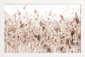 JUNIQE - Poster in houten lijst Wild Reeds -30x45 /Bruin & Ivoor