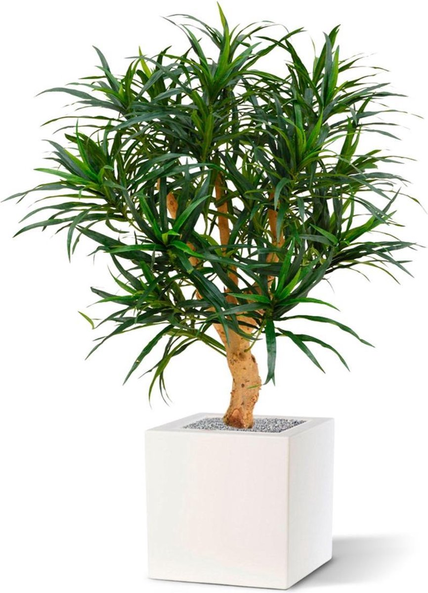 maxifleur Kunstplanten Draceana Reflexa Anita kunstplant 95cm Groen