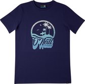 O'Neill T-Shirt GRADIENT VINTAGE - Blauw - 164