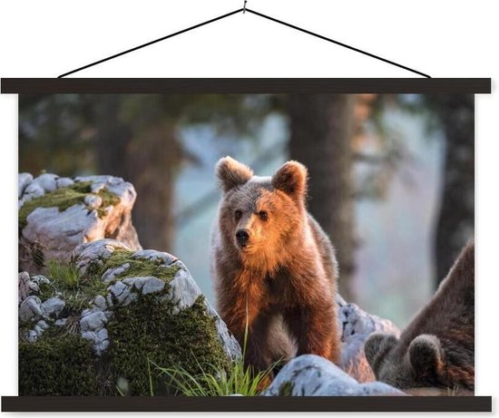 Poster Ours brun au soleil lattes textielposter noir 60x40 cm - Tirage photo sur plaque scolaire (décoration murale salon / chambre)