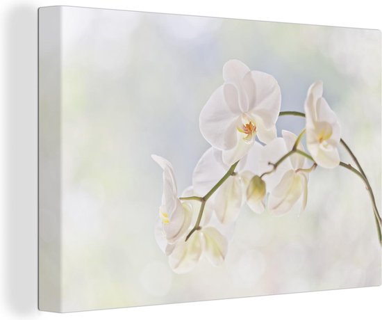 Canvas Schilderij Witte orchidee tegen een vervaagde achtergrond - 60x40 cm - Wanddecoratie