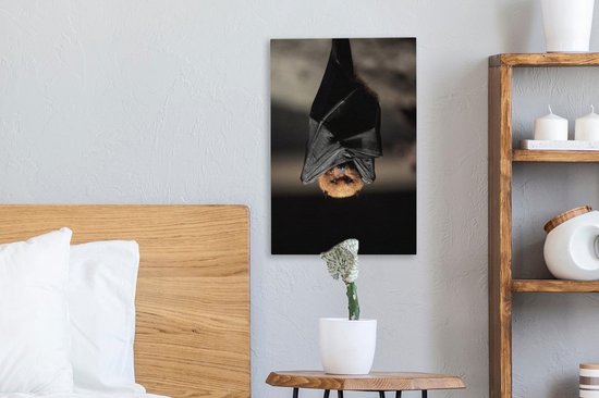 Toile de chauve-souris suspendue 20x30 cm - petit - Tirage photo sur toile (Décoration murale salon / chambre) / Peintures sur toile Animaux