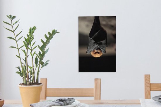 Toile de chauve-souris suspendue 20x30 cm - petit - Tirage photo sur toile (Décoration murale salon / chambre) / Peintures sur toile Animaux