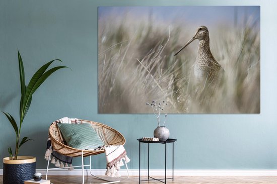 Canvas schilderij 180x120 cm - Wanddecoratie Een watersnip tussen het hoge riet - Muurdecoratie woonkamer - Slaapkamer decoratie - Kamer accessoires - Schilderijen