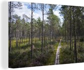Canvas Schilderij Een wandelweg door de bossen van het Nationaal park Store Mosse in Zweden - 60x40 cm - Wanddecoratie